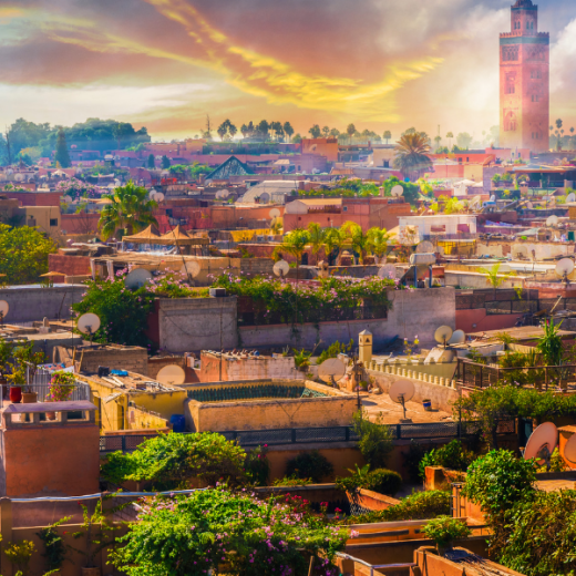 Les Meilleurs Moyens de Transport à Marrakech : Guide Complet 2025